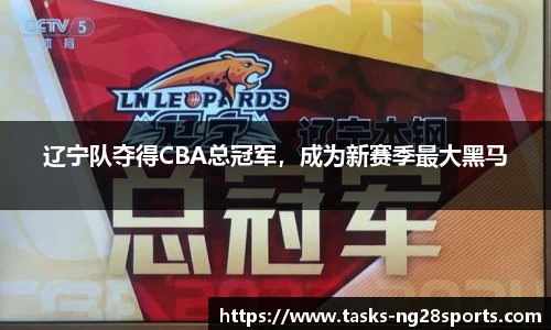 ng体育官方网站